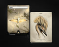 PaleoPlains